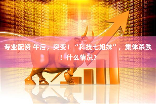 专业配资 午后，突变！“科技七姐妹”，集体杀跌！什么情况？
